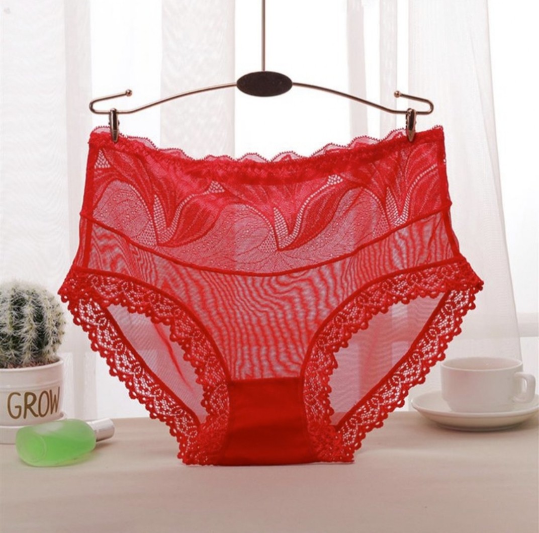 Women Brief Seamless Lace Comfortable Underwear Panty